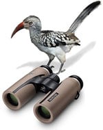 Swarovski CL Companion - perfect Safari Binoculars