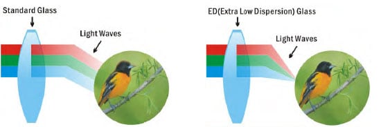 ED Glass Lenses vs Non ED Glass lenses in Binoculars