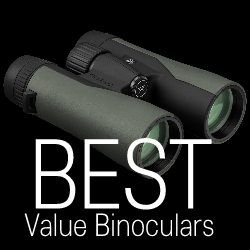 Best Value Binoculars for the Money