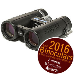 Binoculars 101: How To Choose the Best Binoculars