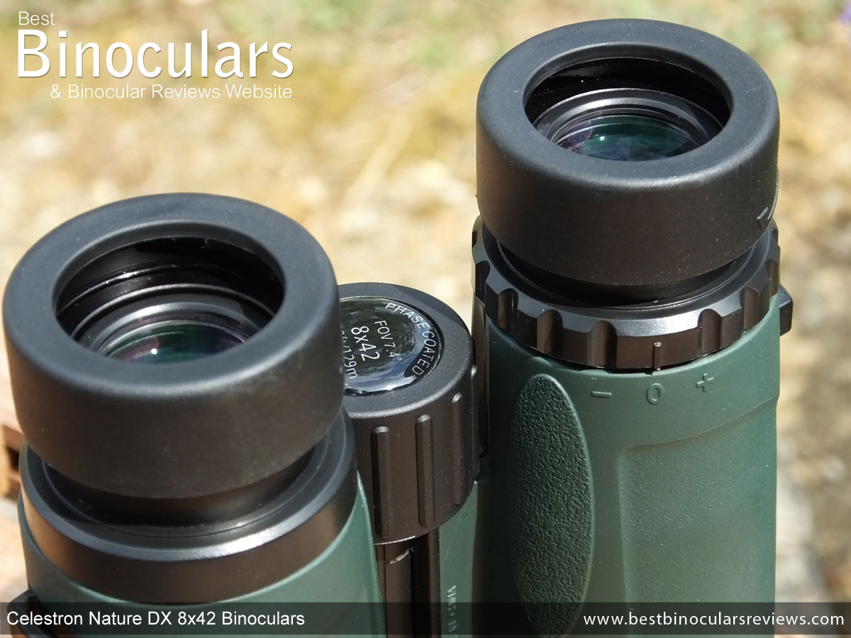 Celestron 8x42 Binoculars Review