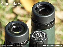 Eyecups on the Celestron Trailseeker 10x32 Binoculars
