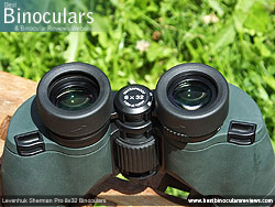 Eyecups on the Levenhuk Sherman Pro 8x32 Binoculars