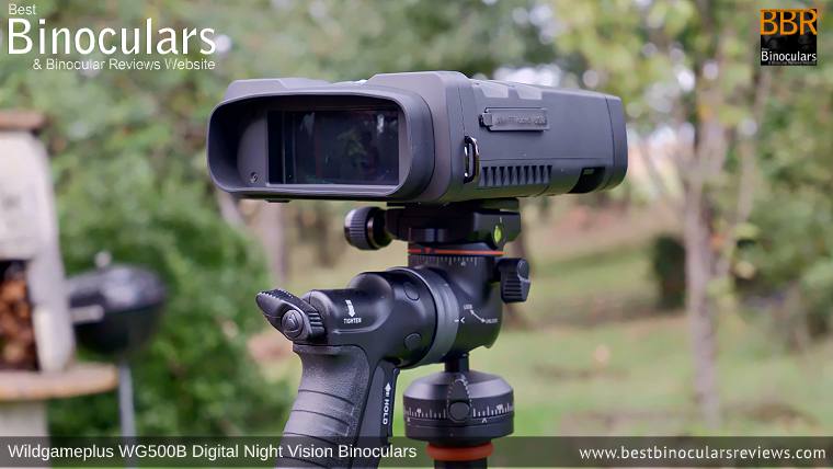 Wildgameplus WG500B Digital Night Vision Binoculars on a tripod