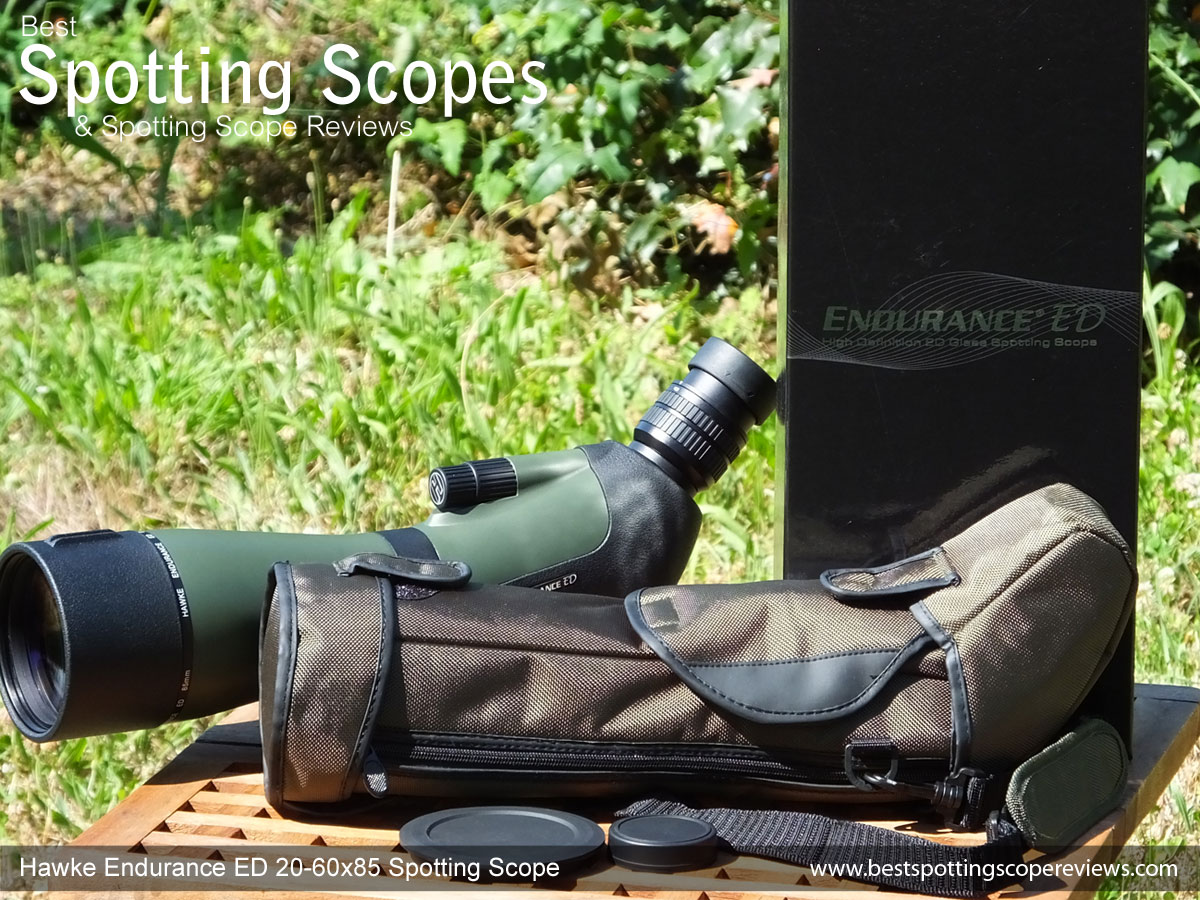 tigger tjene Såkaldte Hawke Endurance ED 20-60x85 Spotting Scope Review