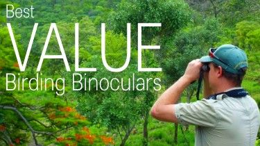 Best Value For Money Bird Watching Binoculars